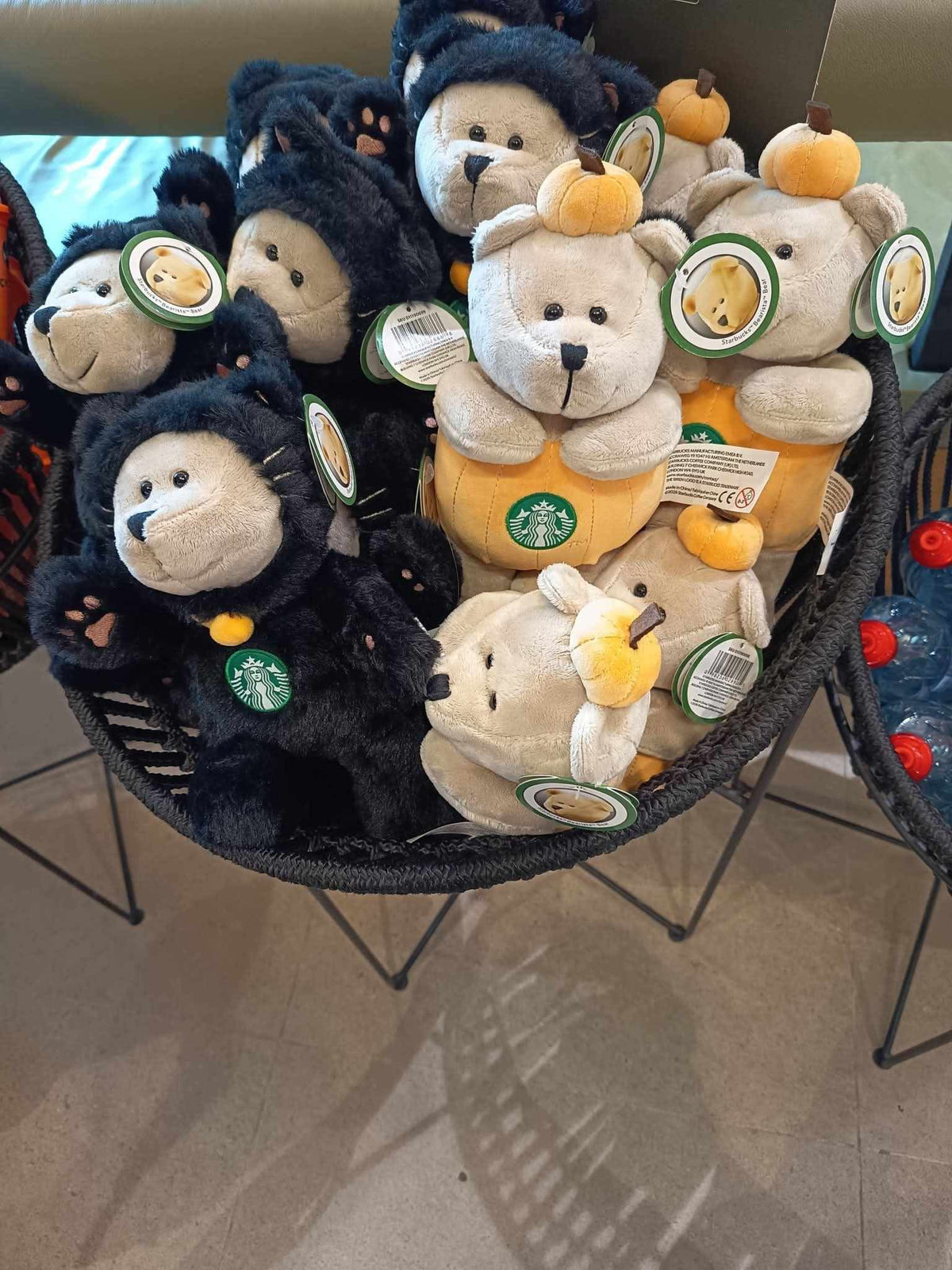 Starbucks France Halloween Winnie Whiskers Plush Doll- Preorder
