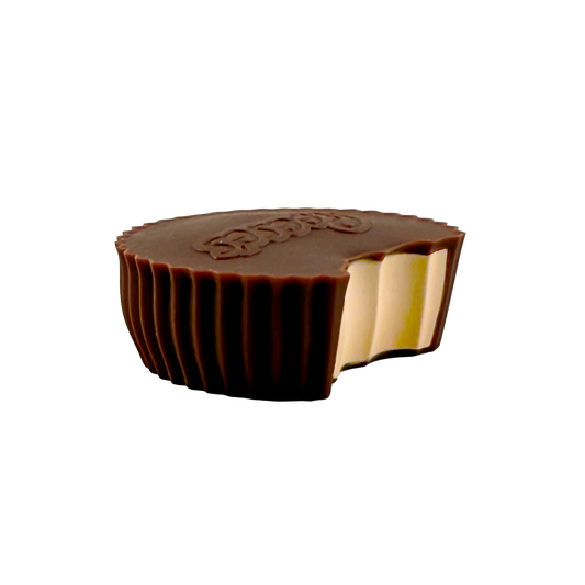 REESE'S PB SQUISHI TOY- Preorder - ETA Oct - Nov.