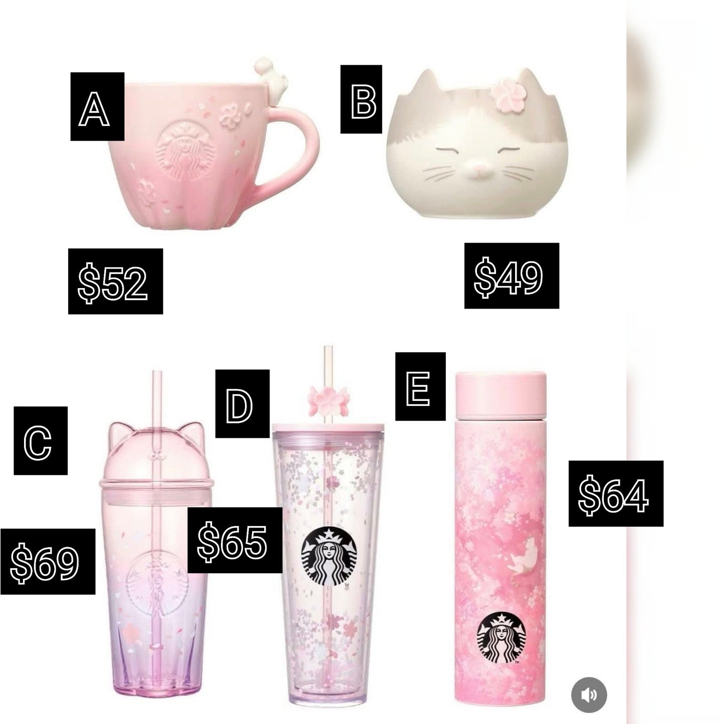 Starbucks Korea Sakura Cat Exclusive Release  - Preorder - ETA Mid March